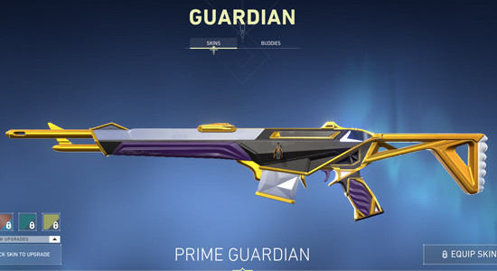 prime-guardian